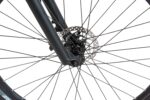 F.lli Schiano E-Mercury, E Bike Mountainbike, 29 Zoll, 36V 20Ah (720Wh) Abnehmbarer Akku, Motor 250W 55Nm, MTB Ebike für Herren/Damen