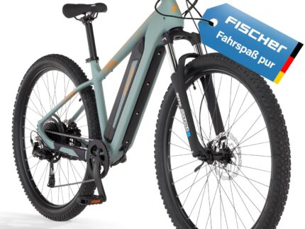 Fischer E-Bike MTB Montis 2.2 Active Elektrofahrrad für Damen und Herren, RH 43, Heckmotor 50 Nm, 48 V Akku