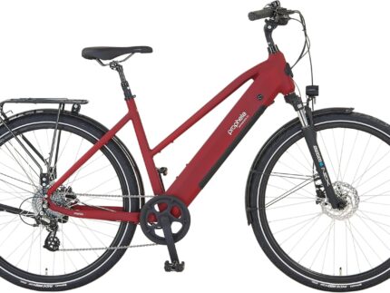 Prophete ENTDECKER 2.0 & 2.3 Trekking E-Bike 28 Zoll – 250 W Heckmotor, 360 Wh Akku, 8-Gang Kettenschaltung, LCD-Display, bis 100 km Reichweite – Verschiedene Rahmenformen & Größen